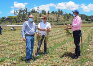 ADMINISTRADOR DE MERCADOM VISITA PRODUCTORES EN CONSTANZA