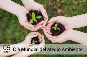 MERCADOM Y MERCA SD CELEBRAN DIA MUNDIAL DEL MEDIO AMBIENTE